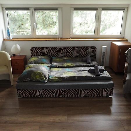 Apartman U Borovice Bila Tremesna Bagian luar foto