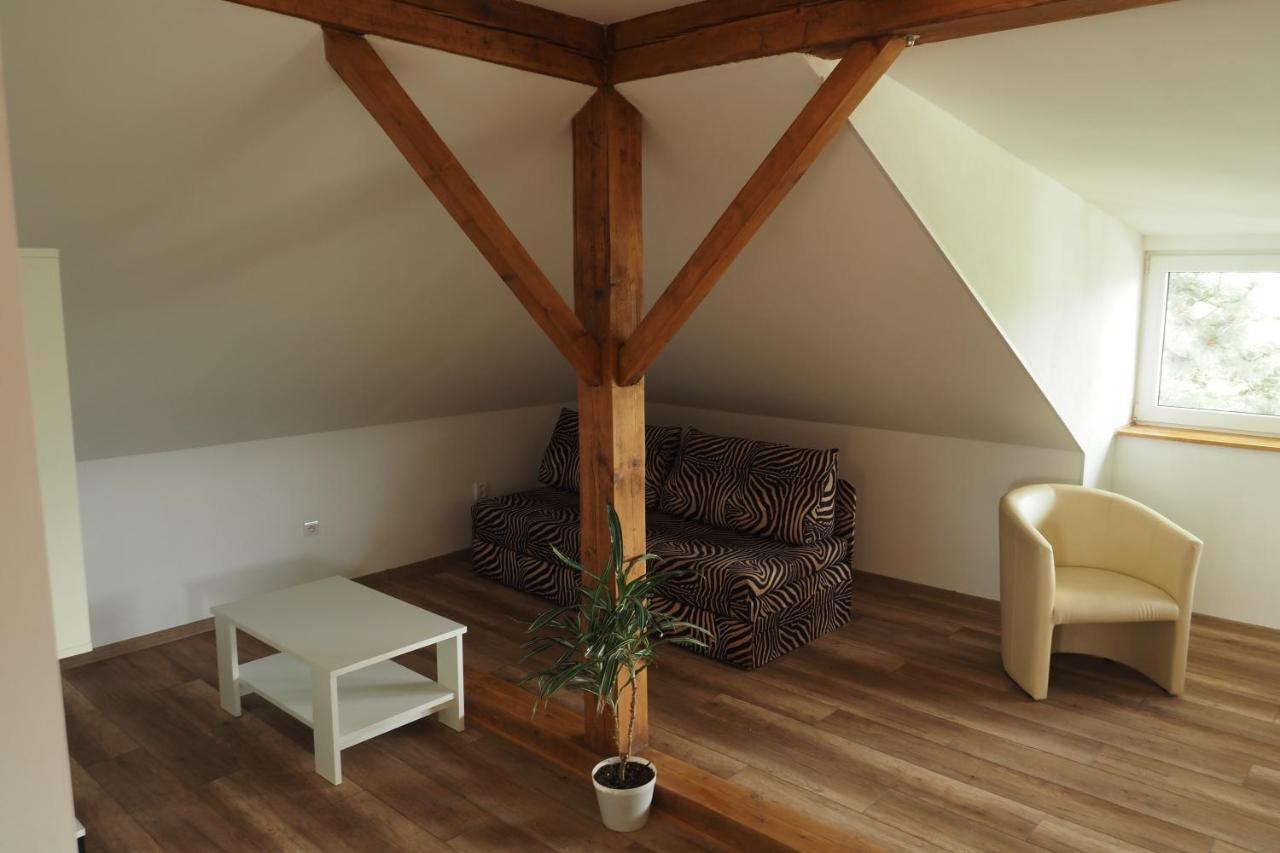 Apartman U Borovice Bila Tremesna Bagian luar foto