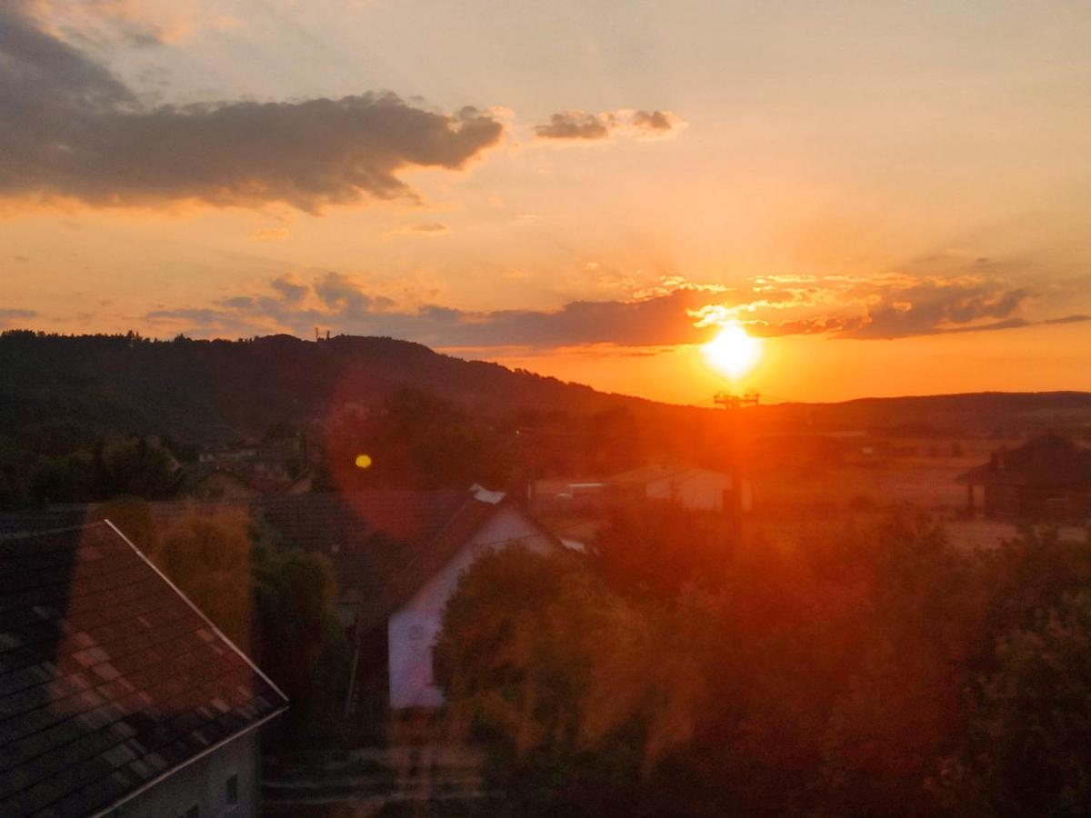 Apartman U Borovice Bila Tremesna Bagian luar foto