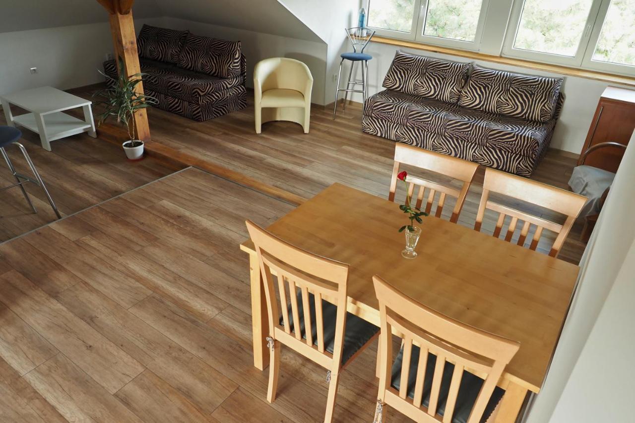 Apartman U Borovice Bila Tremesna Bagian luar foto